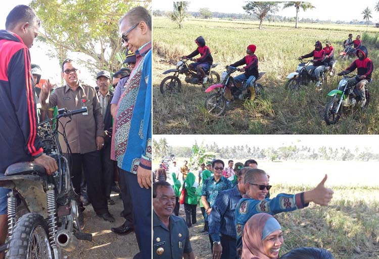 Ojek Padi Solusi Transportasi Pertanian di Soppeng